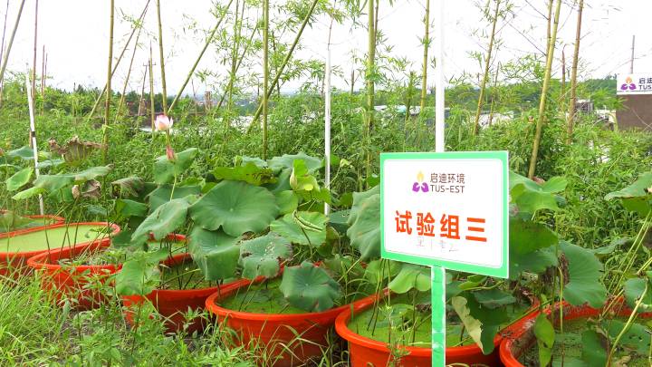 welcometo欢迎光临888集团(中国)有限公司